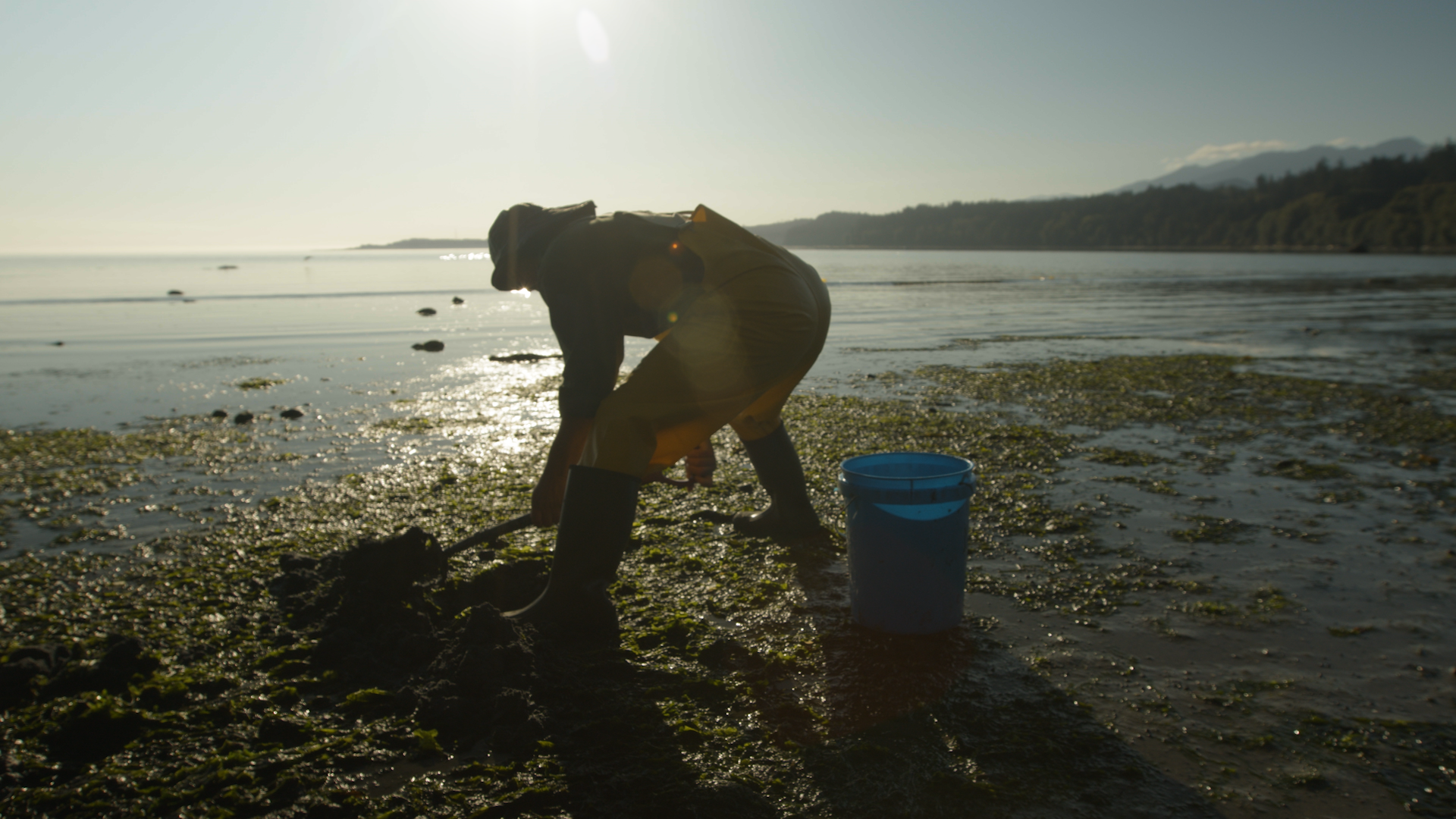 ID: Film still from CHANGER: A HAND TELLING. Sonny (played by G. Christian Vasquez) is in silhouette as he digs for clams in the shallow water of the Lower Elwha beach during a sunny day. End ID.